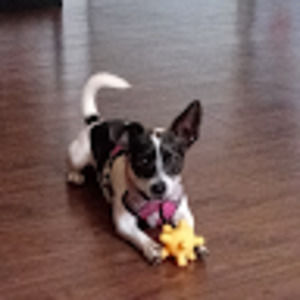 Meet your Posher, Noelva